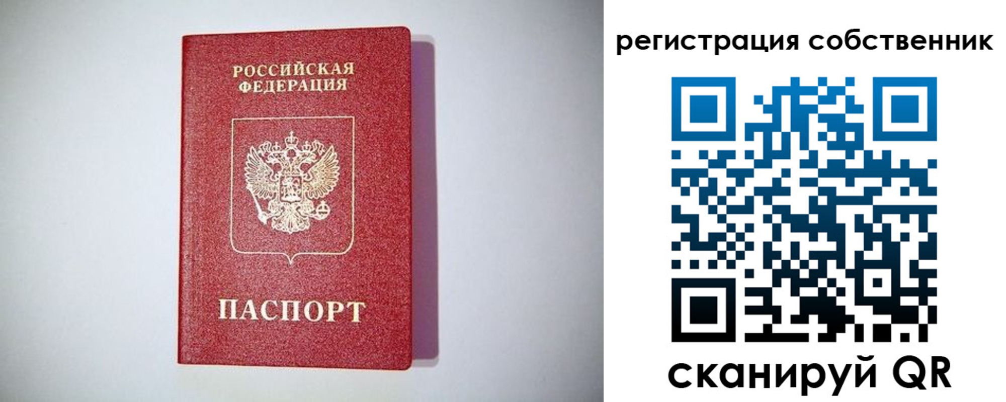 временная регистрация для школы в Талице